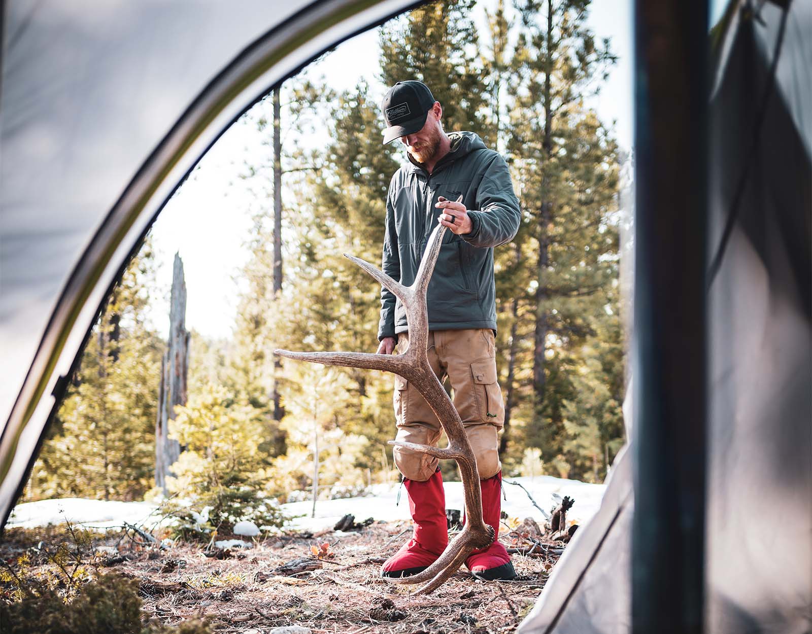 A shed hunter inspects the elk shed he found. 