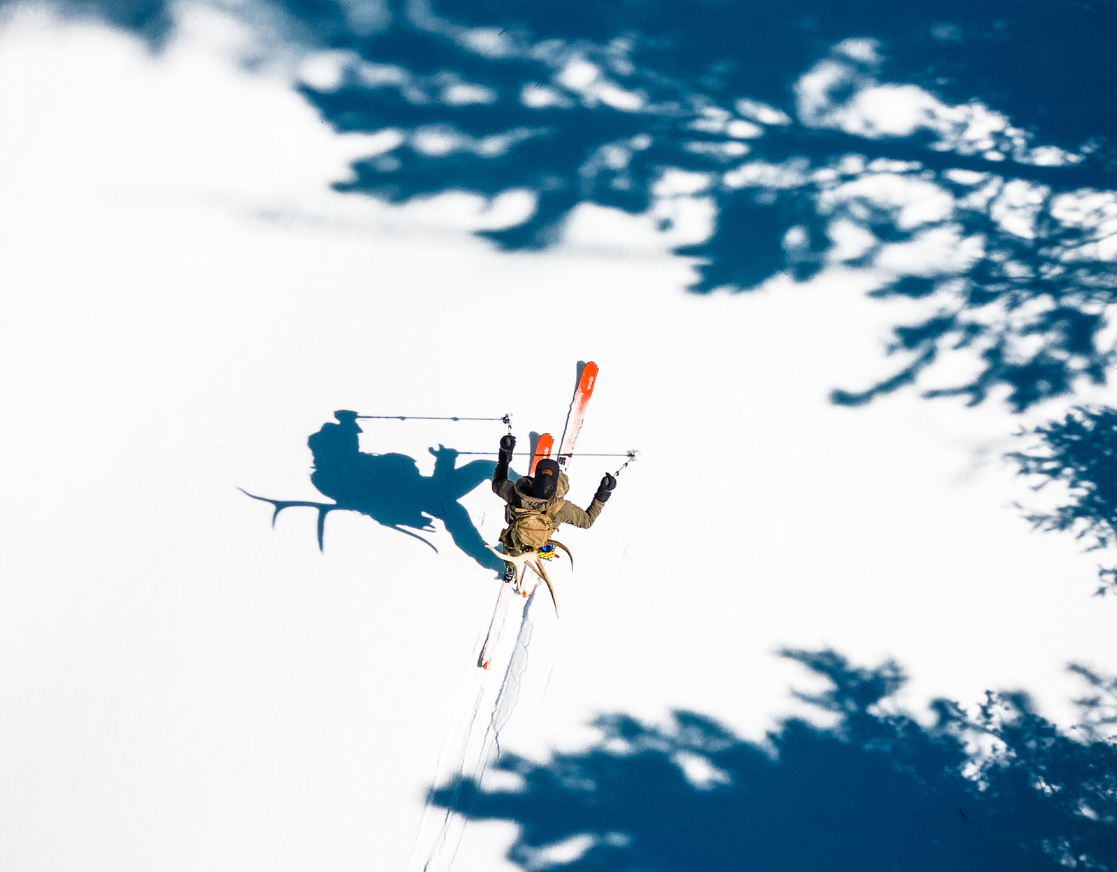 A shed hunter skis through snow with a shed strapped to their pack. 