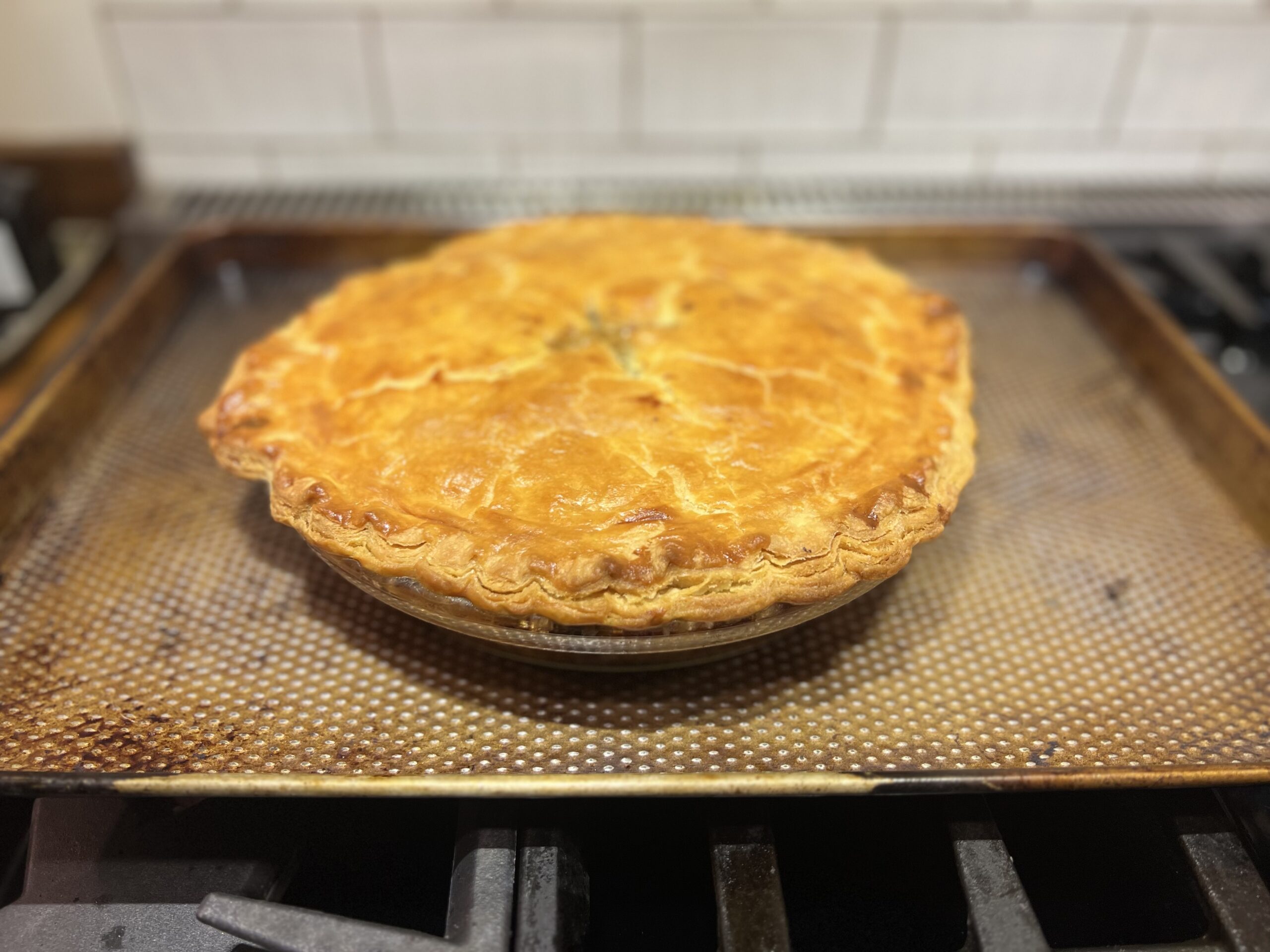 Wild Turkey Pot Pie