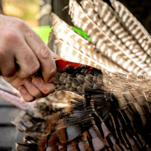 Chapter 8: Cleaning and Processing