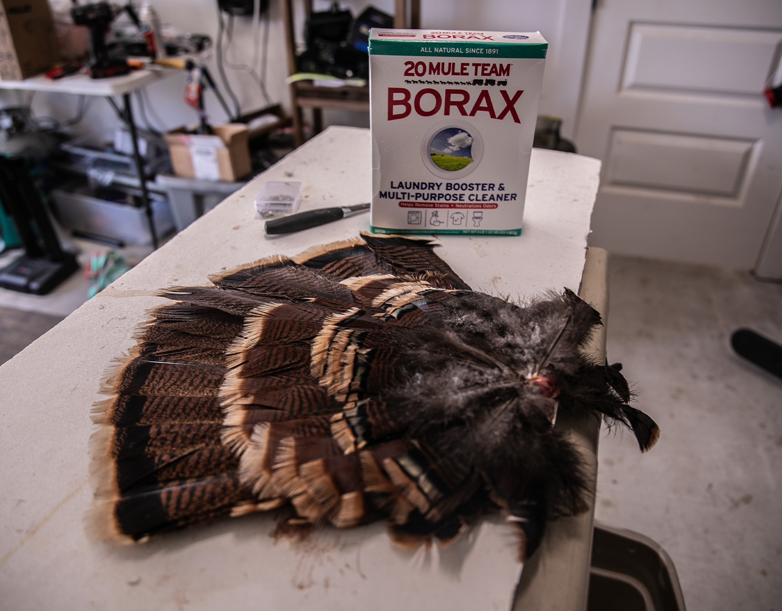 preserving a turkey fan with borax 