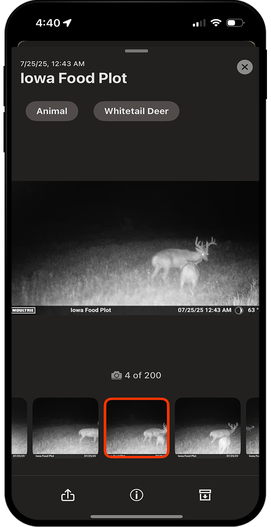 onX Hunt Trail Cam photo sharing.