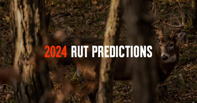Deer Rut Guide | Rut Report, Predictions & More | onX Hunt