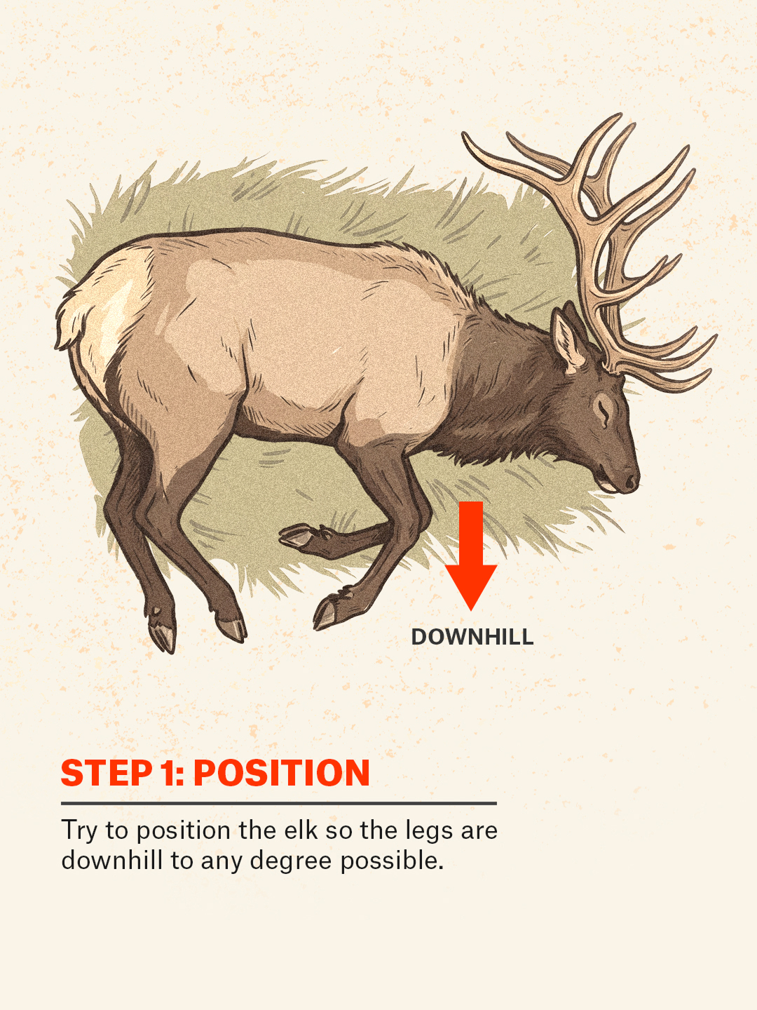An infographic showing how to do the gutless method on an elk