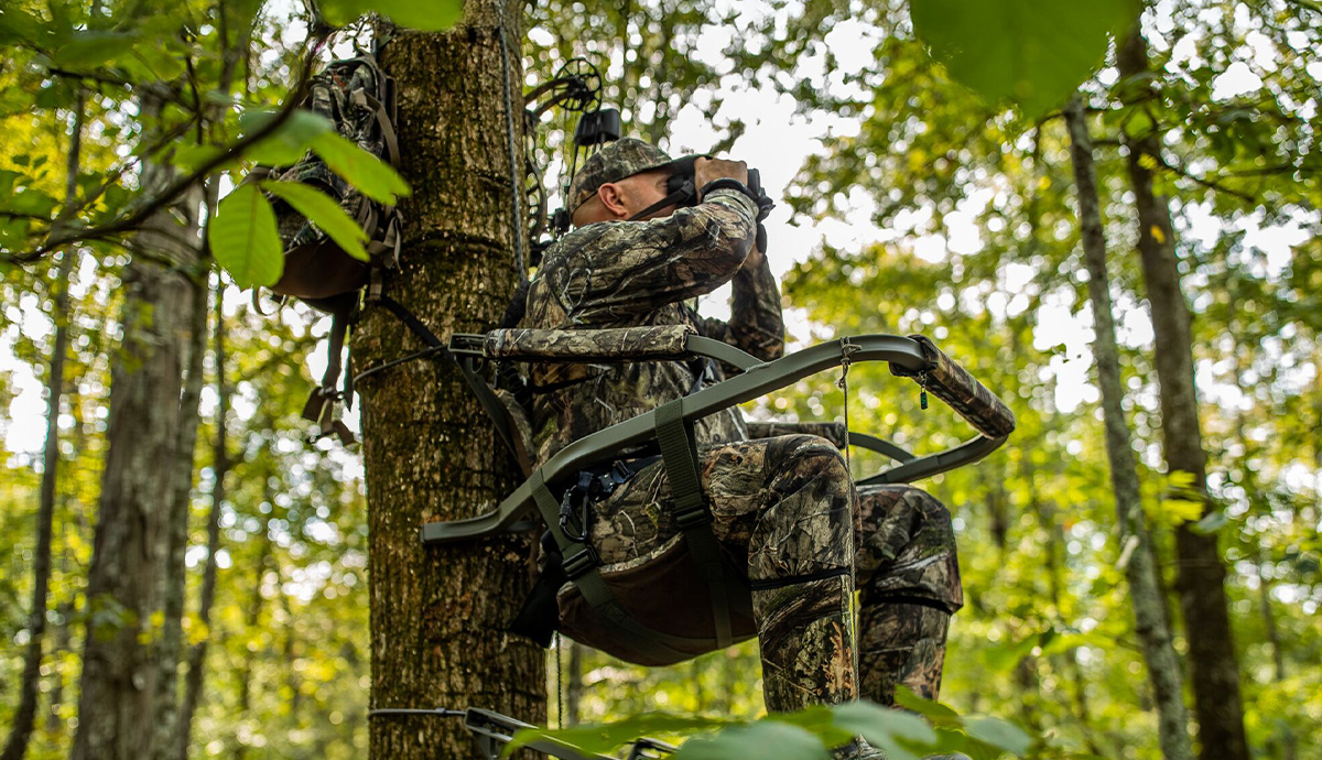 A hunter glasses from a treestand.
