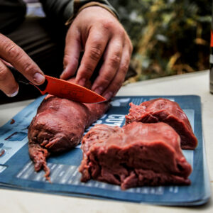 Meat Care & Post-Hunt