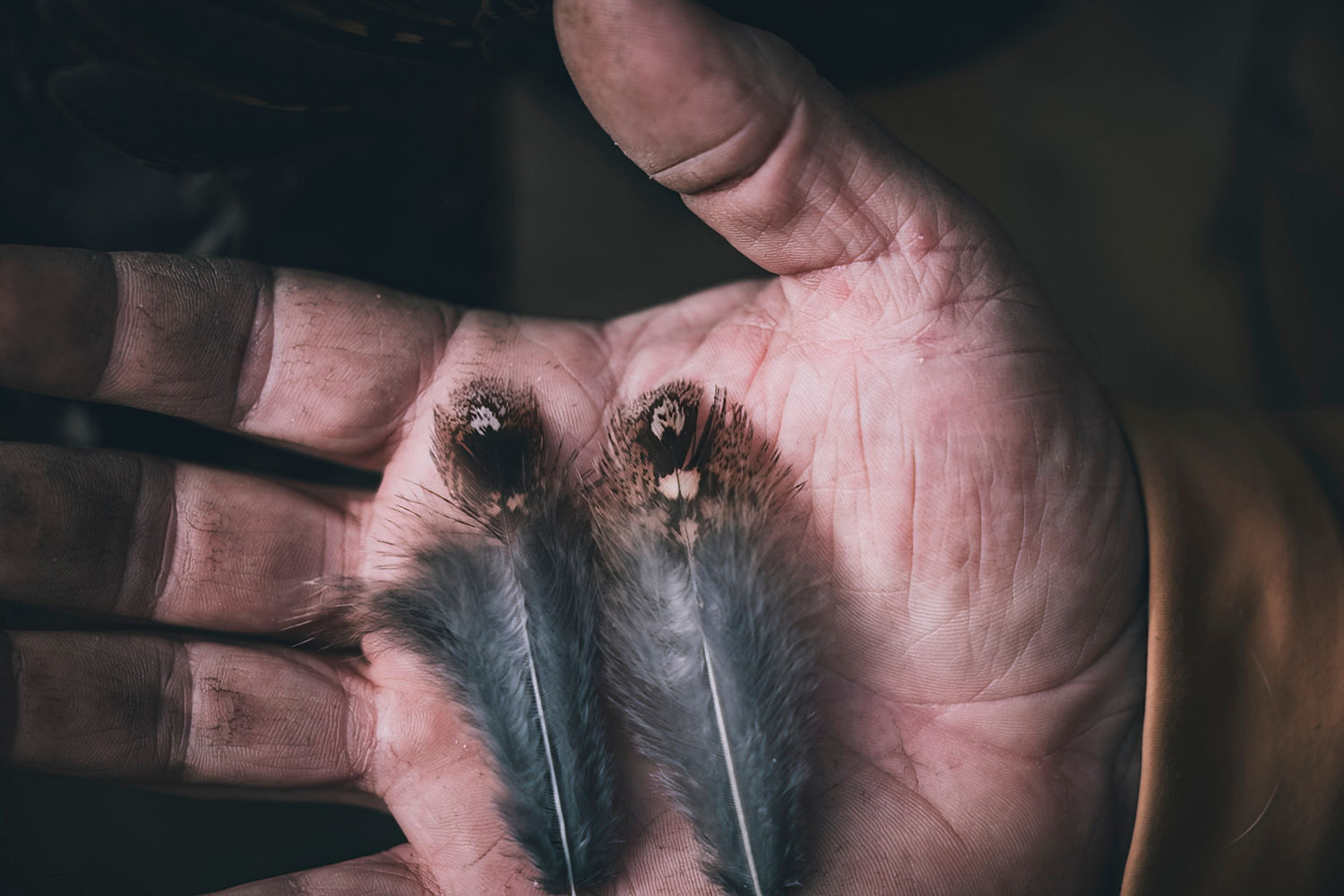 A man's hand holding grouse feathers.
