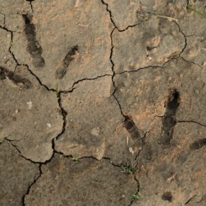 Scouting Hunting Spots