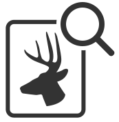 A deer and magnifying glass icon.