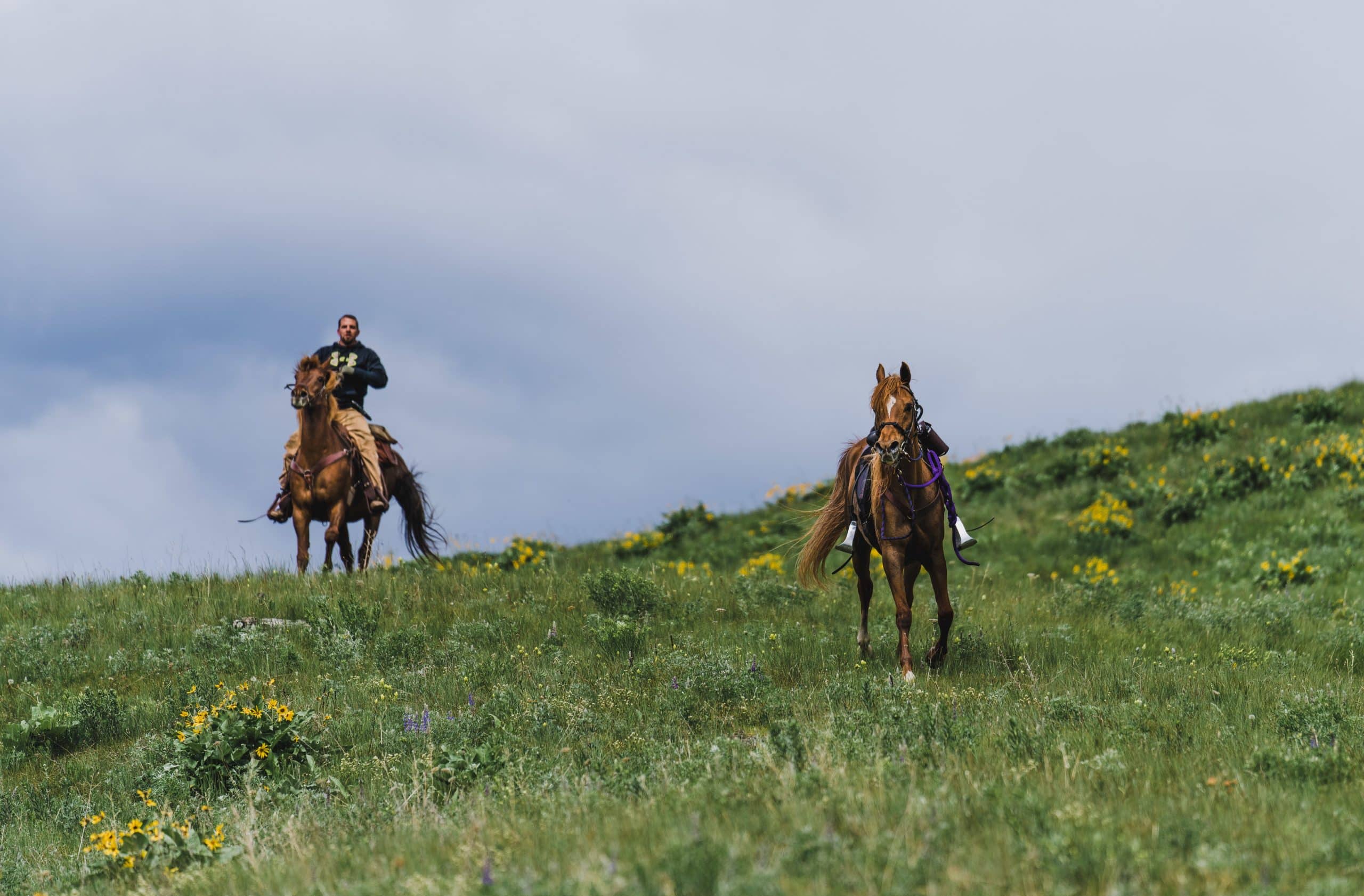 A rider chases after a loose horse on opening day of shed season on the Clearwater WMA A rider chases after a loose horse on opening day of shed season on the Clearwater WMA