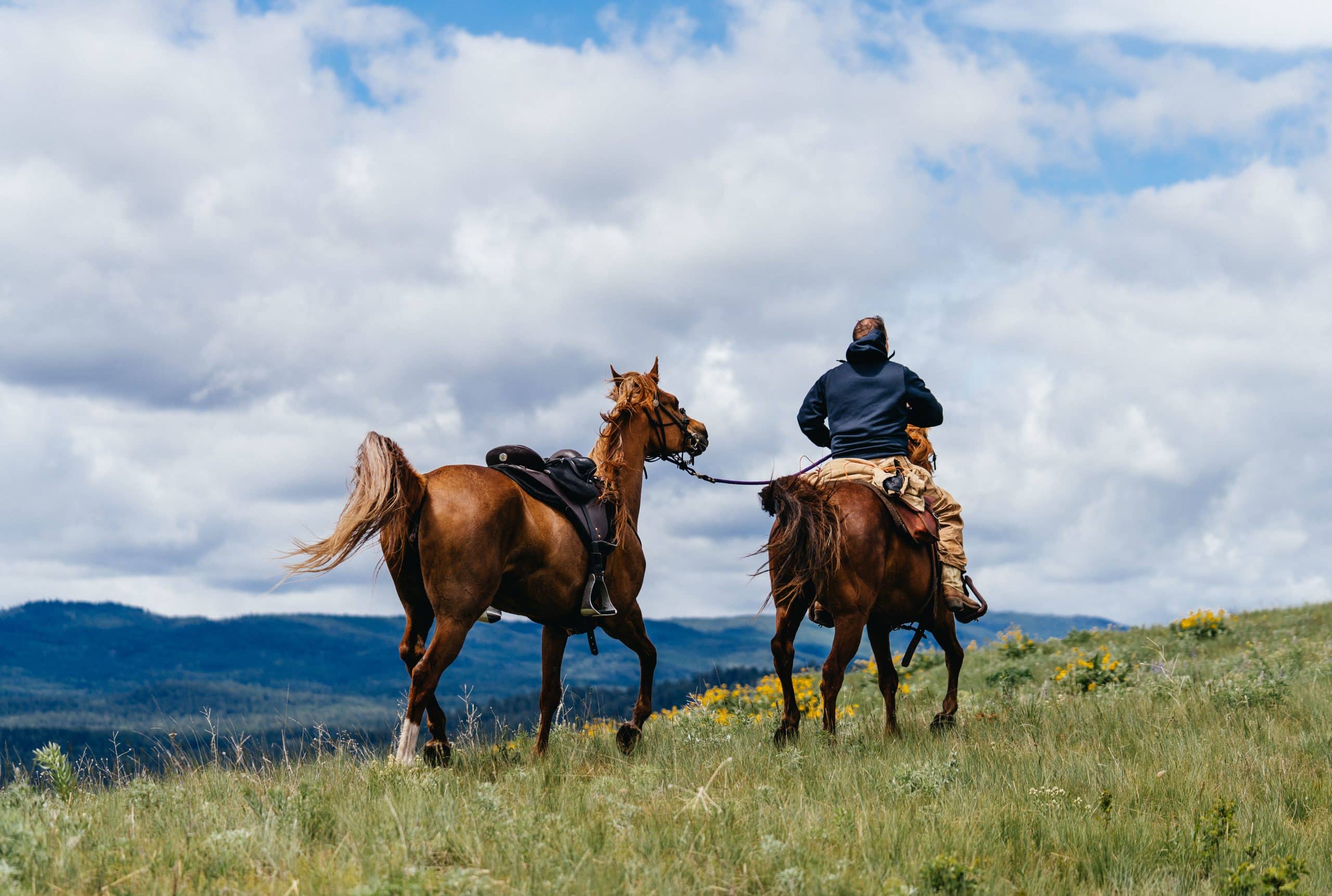 A rider catches a loose horse on opening day of shed season on the Clearwater Wildlife Management Area A rider catches a loose horse on opening day of shed season on the Clearwater Wildlife Management Area