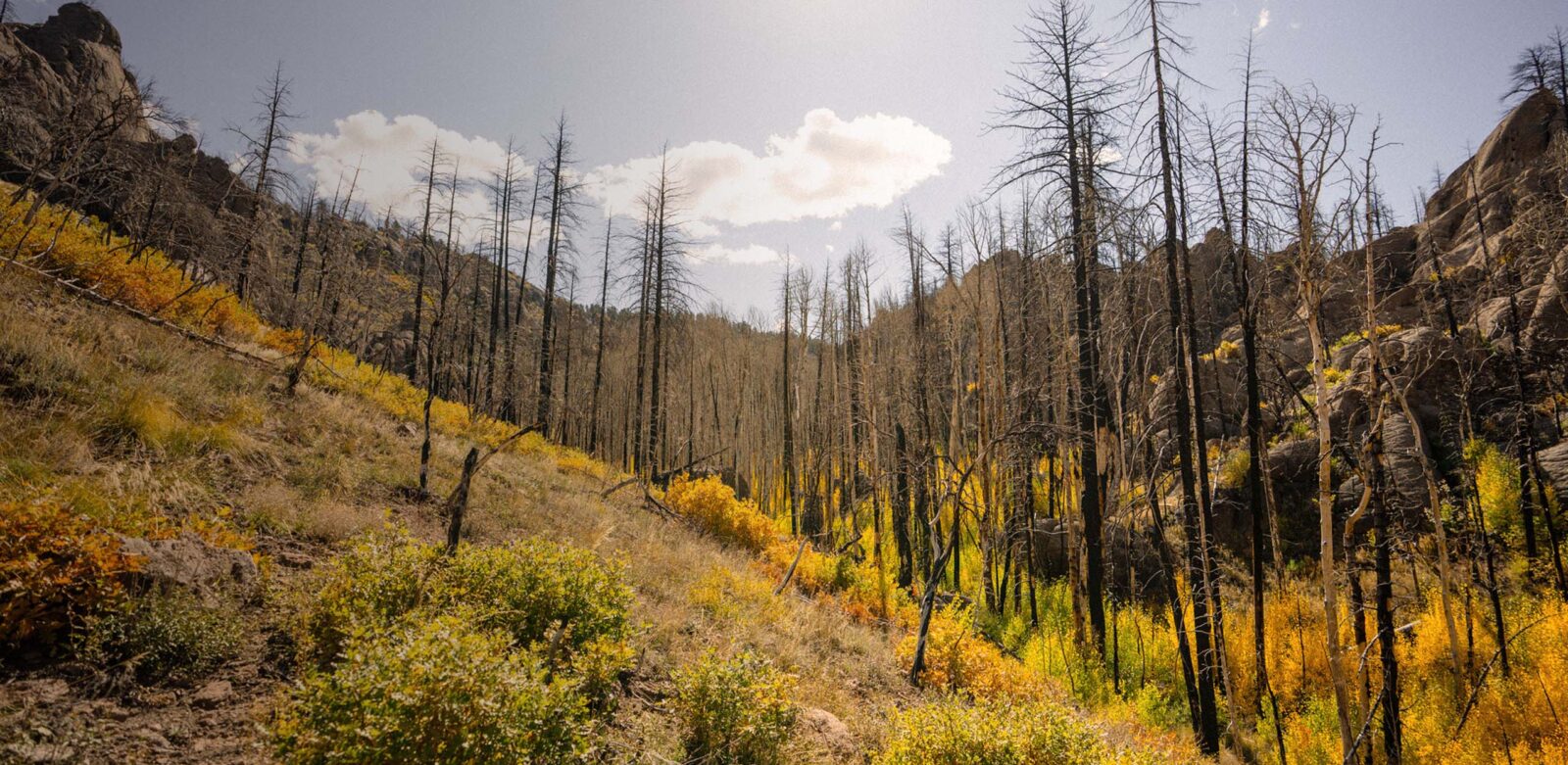 Mountainous landscape.