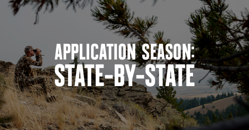 A man in camouflage uses binoculars on a hillside.