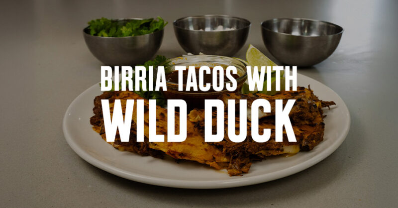 Birria Tacos With Wild Duck and dipping sauces.