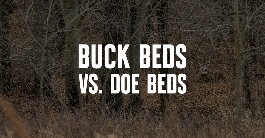 A buck bed with "Buck Beds vs Doe Beds" overlaid in white text.