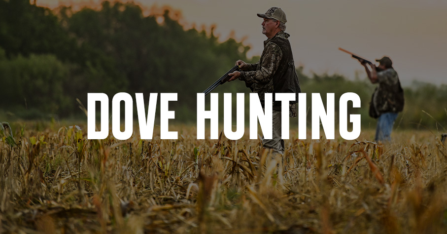 Dove hunters in the field.