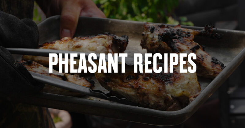 Plated grilled pheasant breasts.