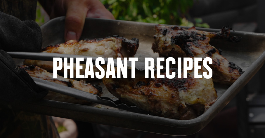 Plated grilled pheasant breasts.