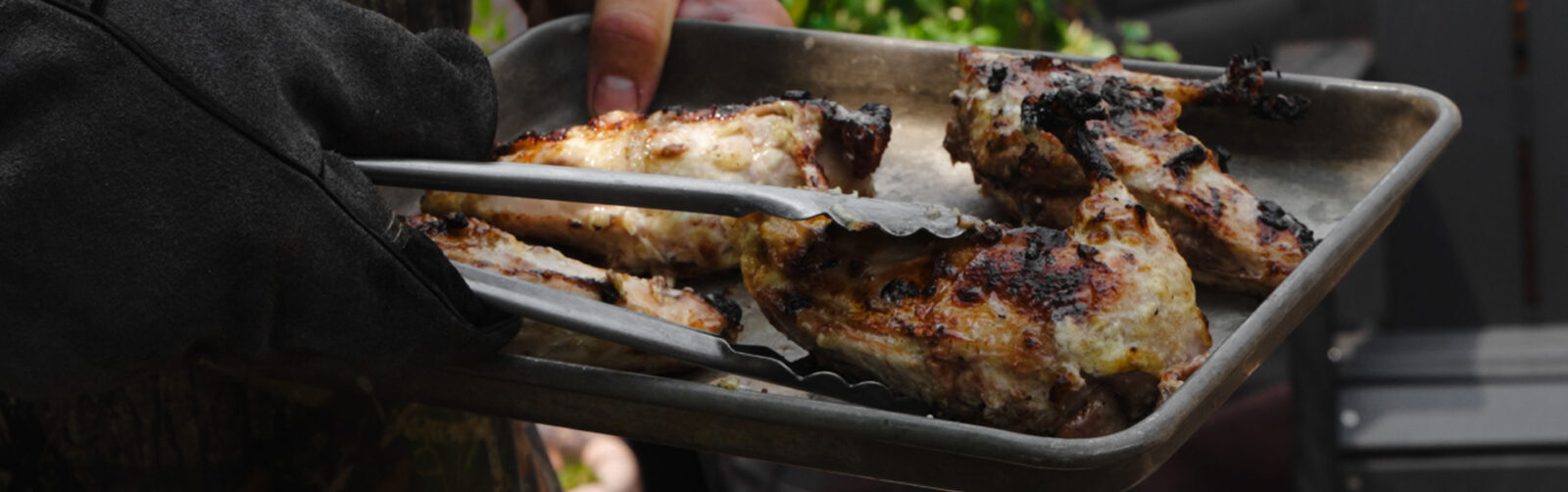 Plated grilled pheasant breasts.