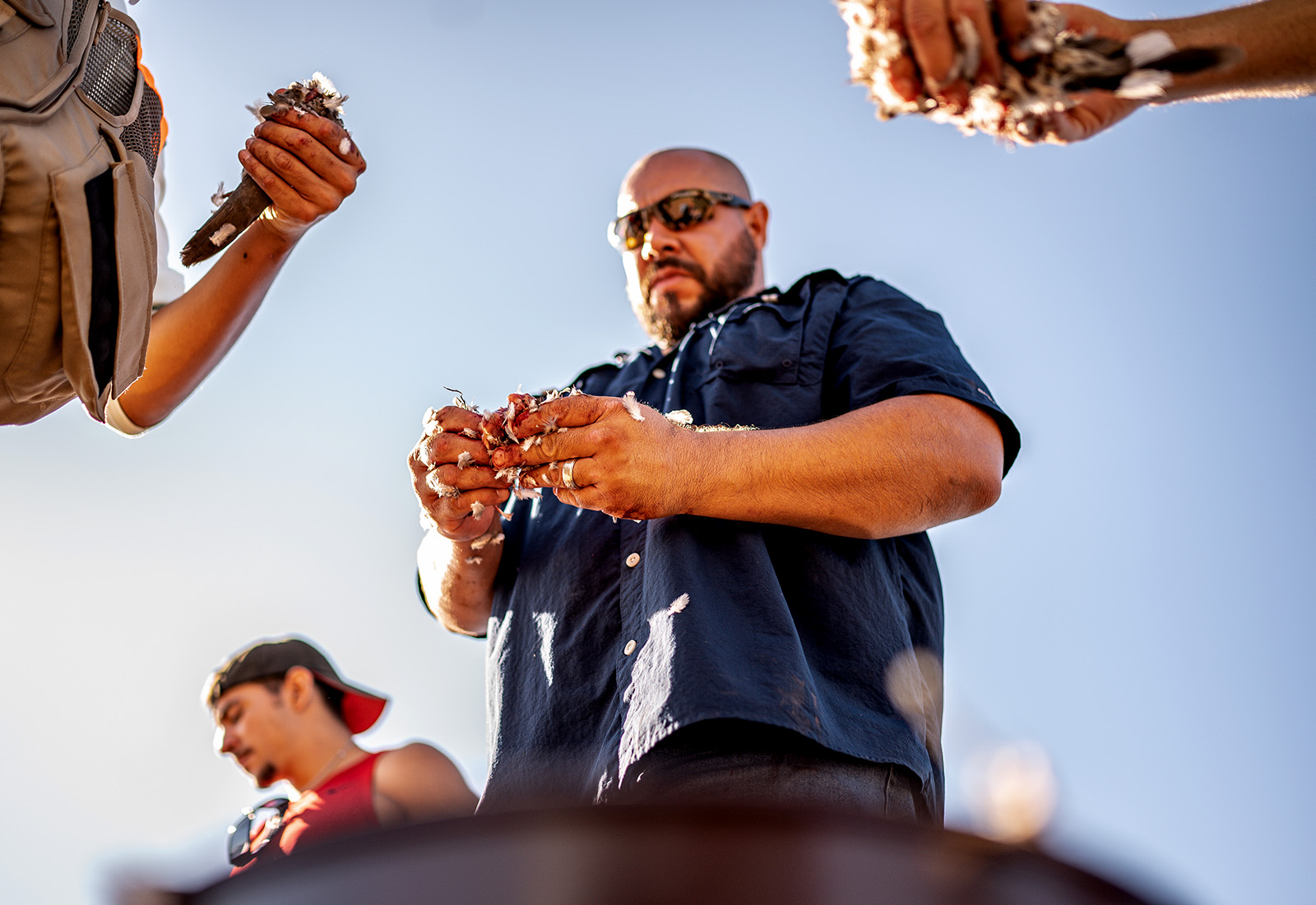 A group defeathers their dove harvest.