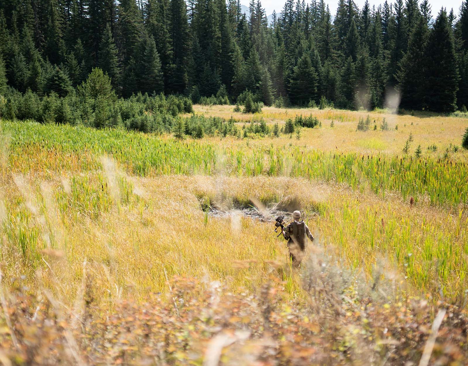 A bowhunter hikes through a meadow. 