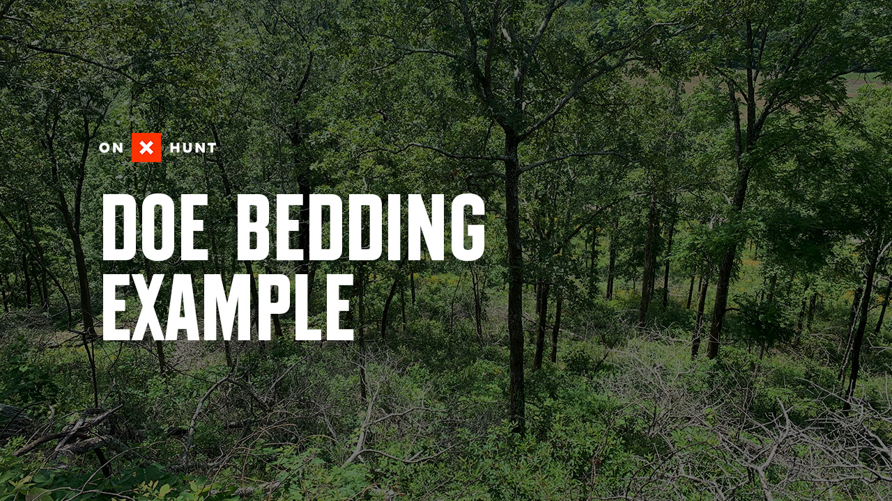 A deer bed with "doe bedding example" overlaid.