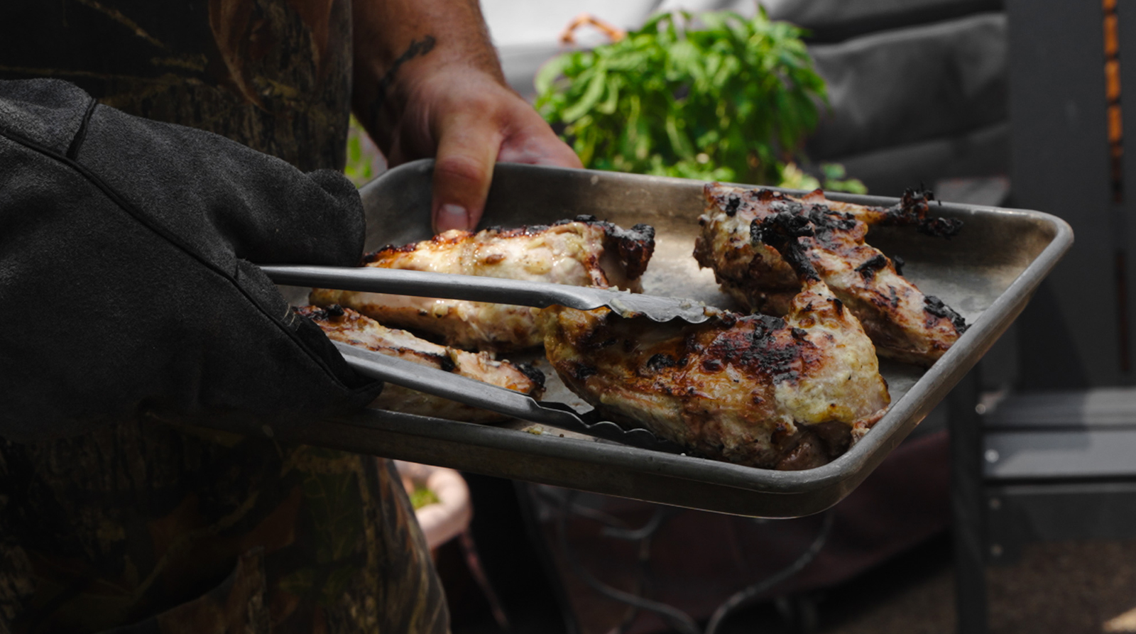 Plated grilled pheasant breasts.
