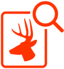 Deer and magnifying lens icons. 