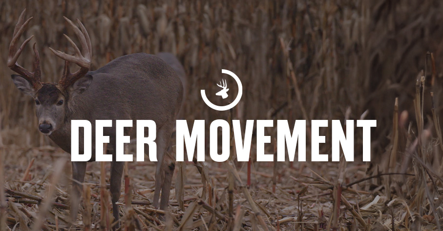 onX Hunt's deer movement forecast