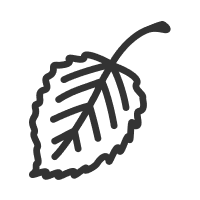 Leaf-Off icon
