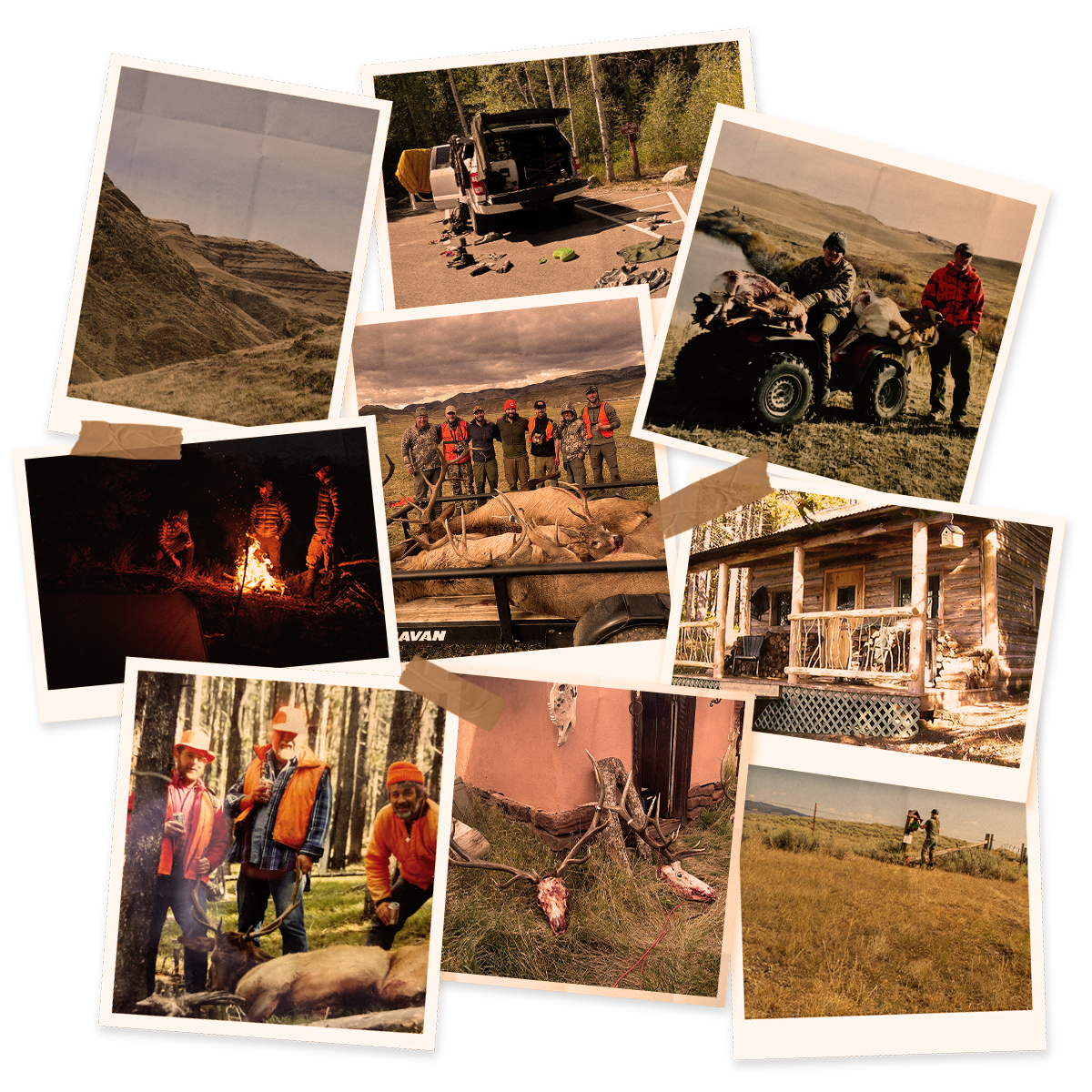 A collage of hunting photos.