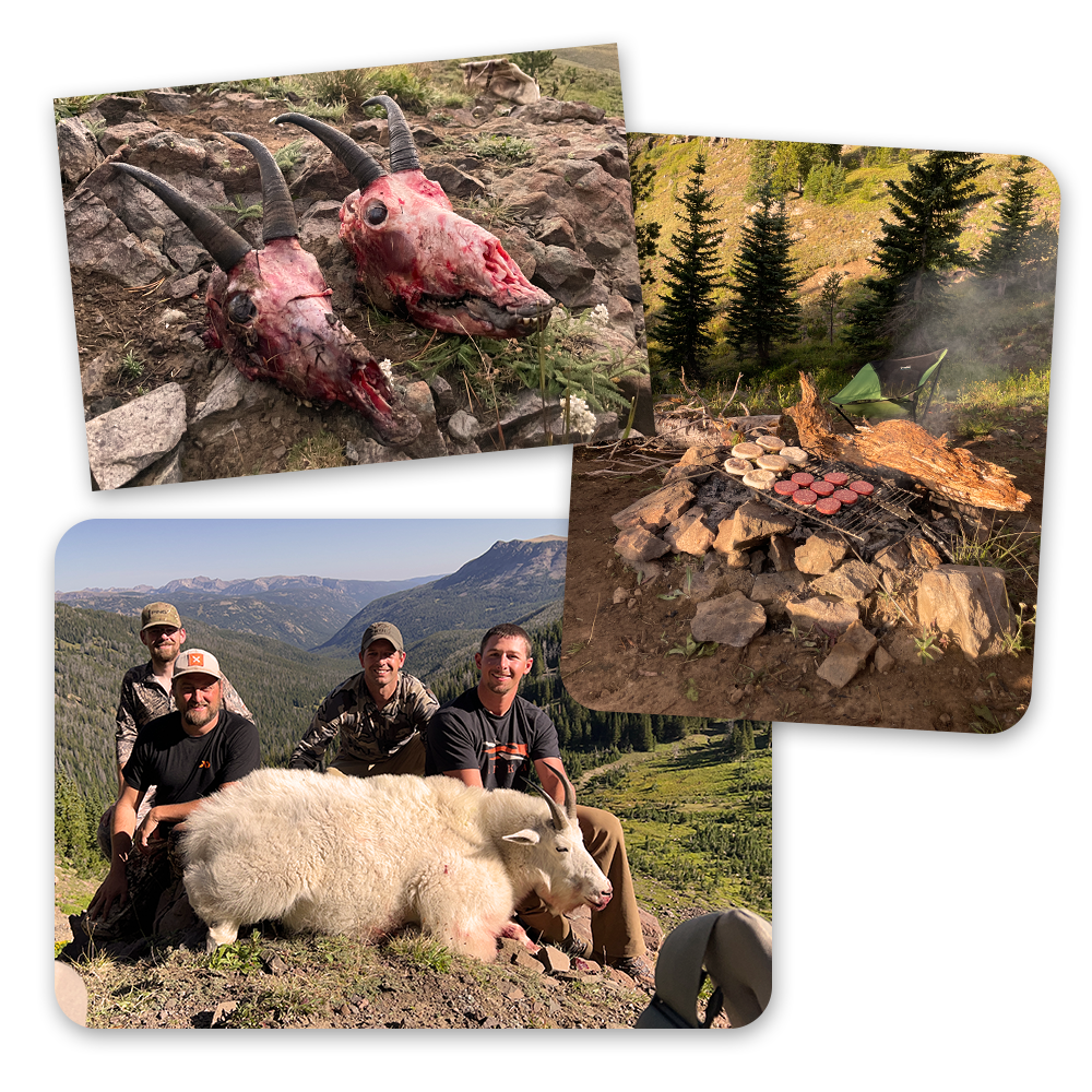 A collage of hunting photos.