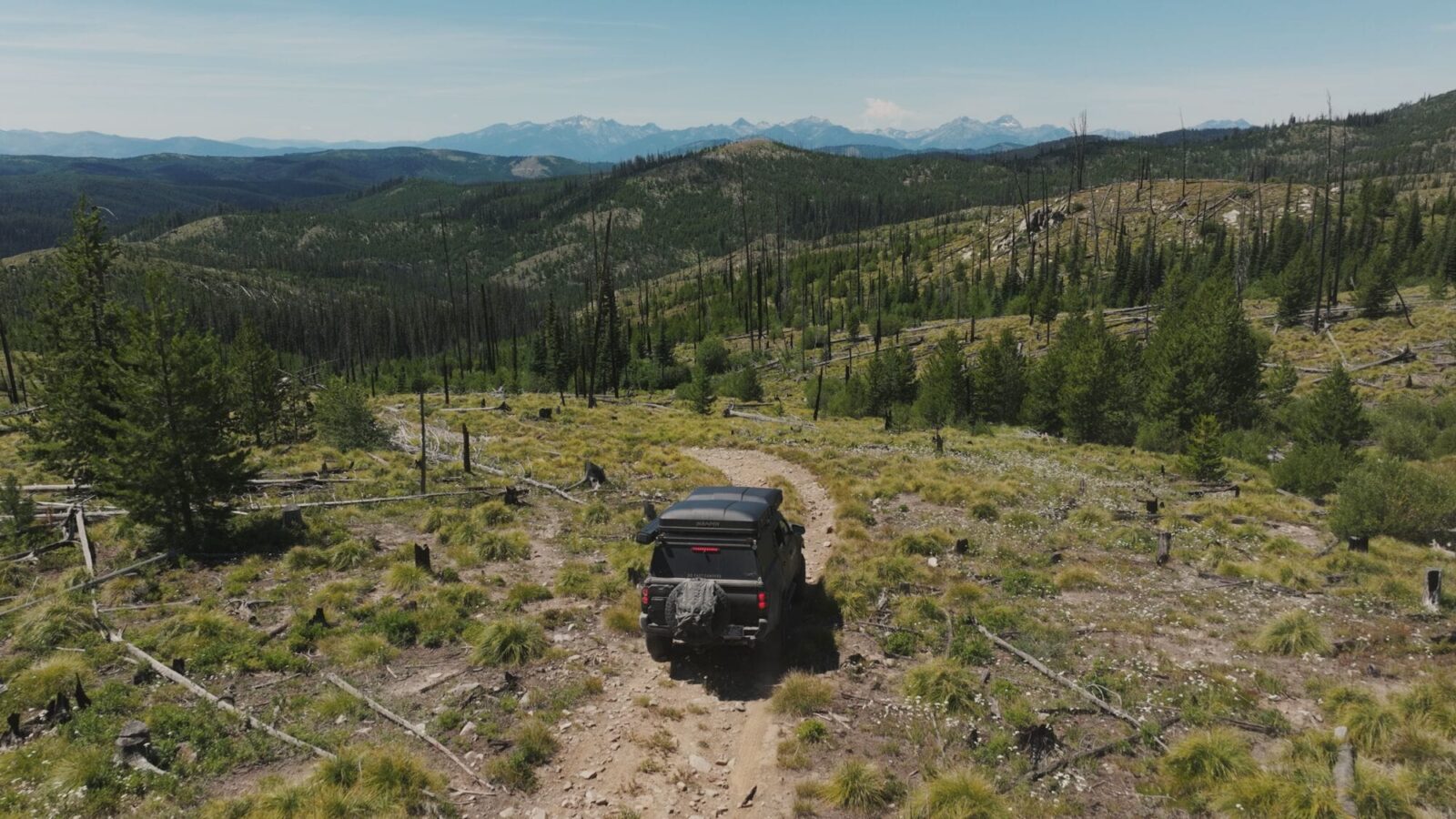 A side-by-side navigates a two-track road in the mountains.