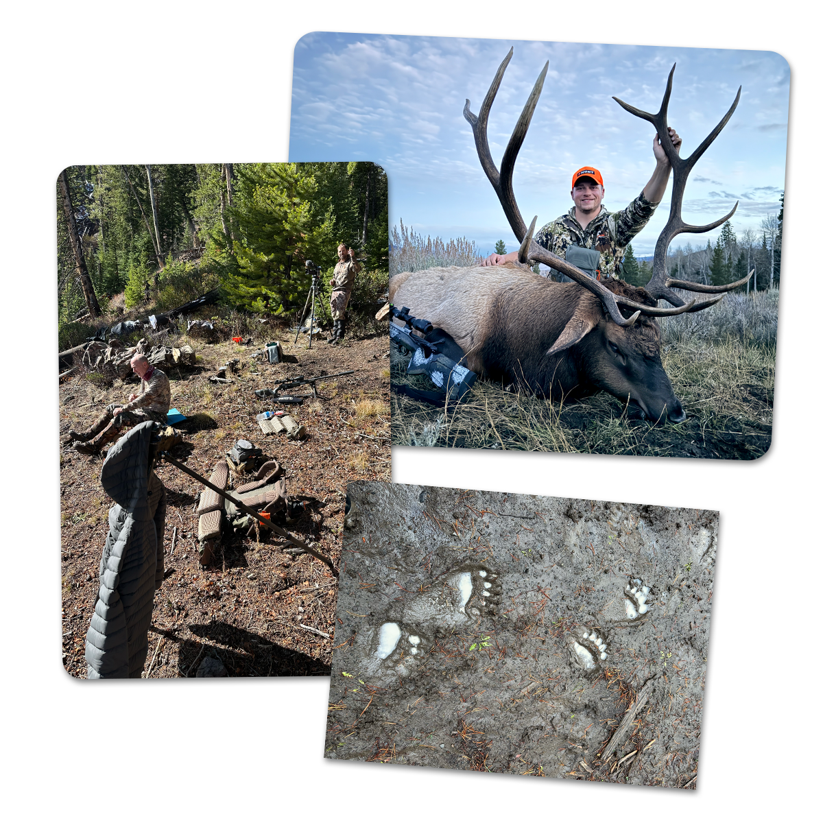 A collage of elk hunting photos.