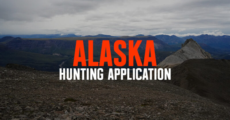 Sweeping Alaskan landscape.