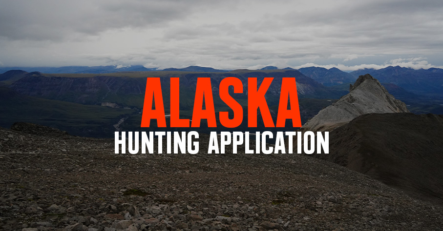 Sweeping Alaskan landscape.