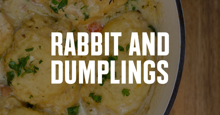Rabbit and dumplings.
