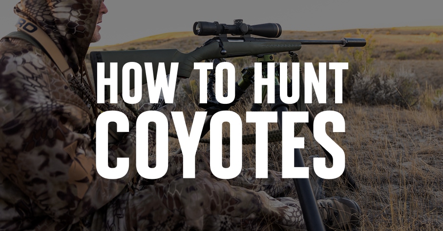 A hunter with a rifle and How To Hunt Coyotes overlaid in text.