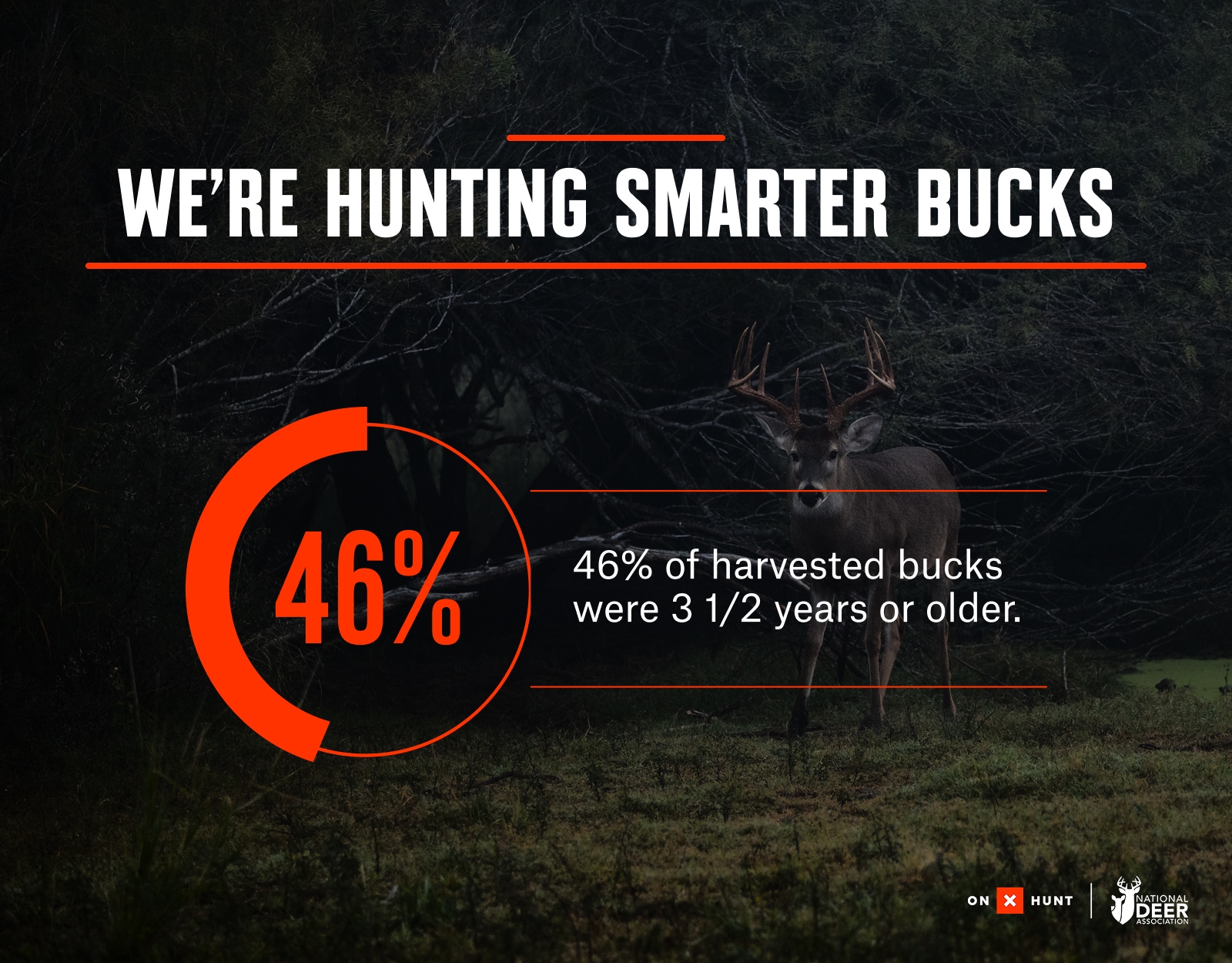 Infographic detailing NDA Deer Report insights.