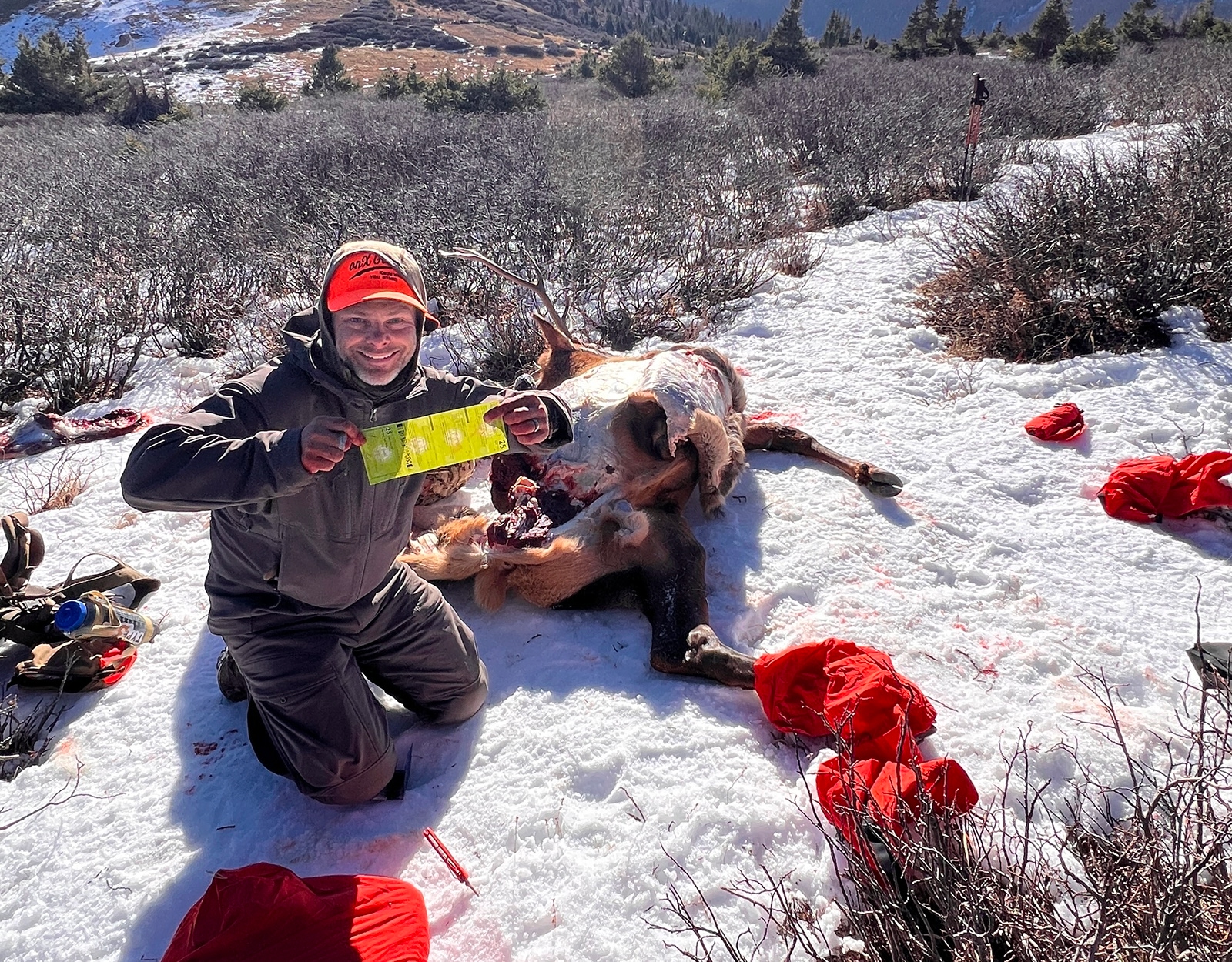 A hunter holds up the elk tag they just punched. A harvested elk is in the background.