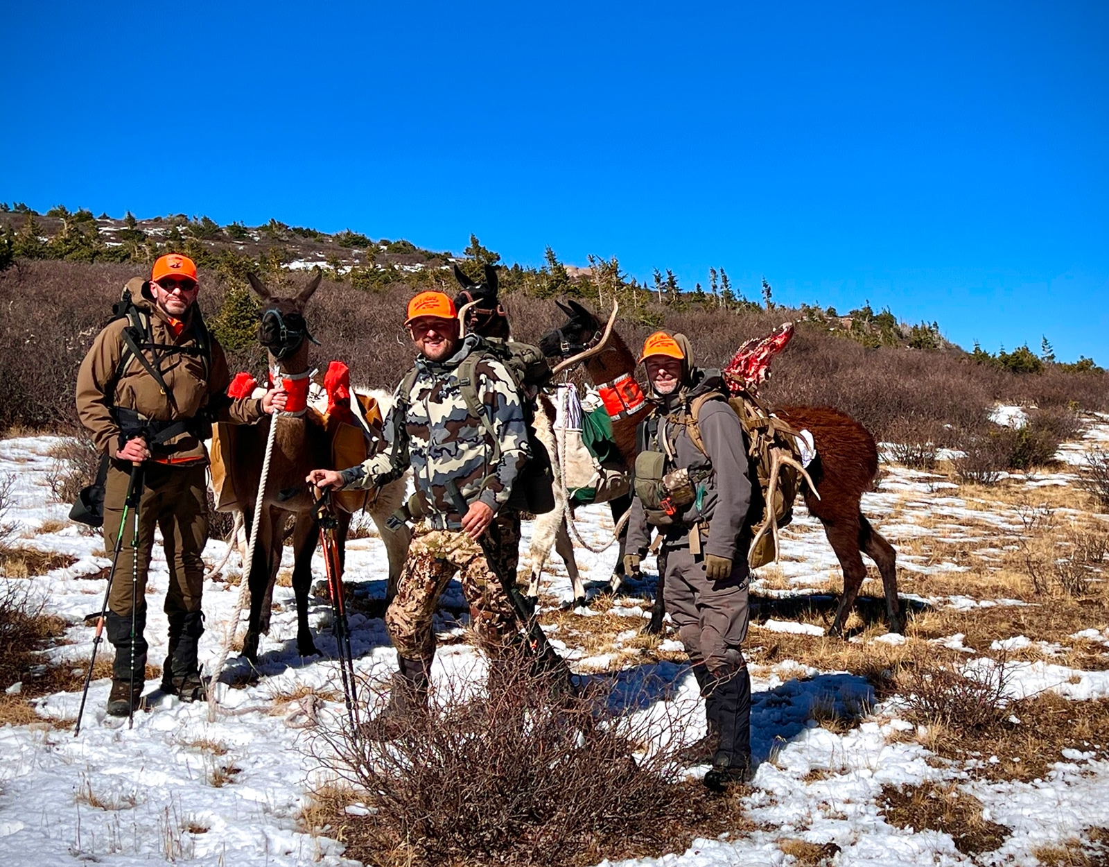 A hunting group poses for a photo in the backcountry.