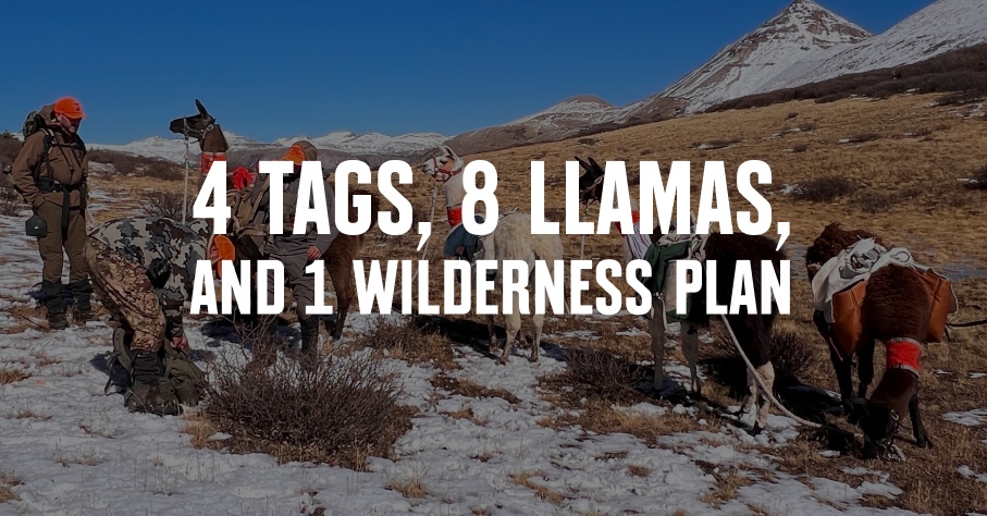 A group of hunters and pack llamas.