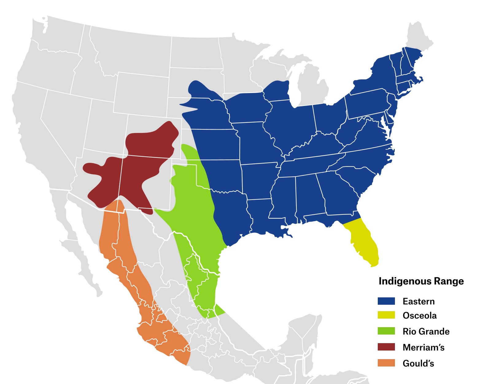 A map of wild turkeys' indigenous range in the US.