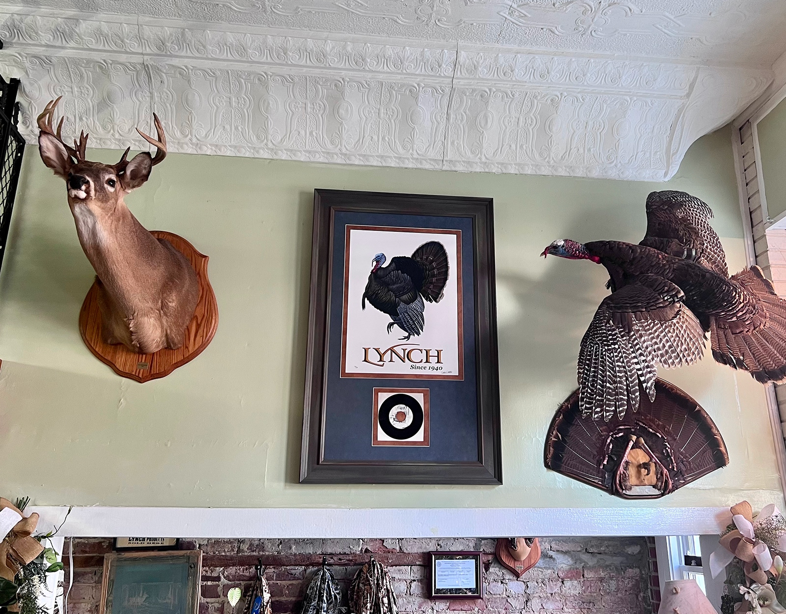 Various taxidermy and a photo hang on a wall.