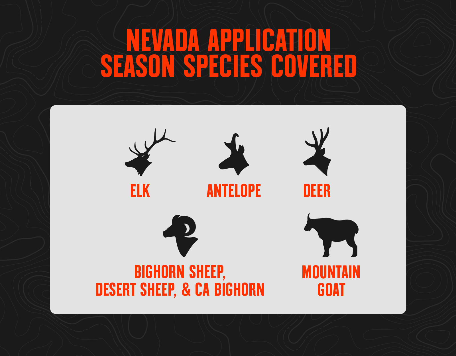 Infographics showing which species you can apply for hunts for in Nevada