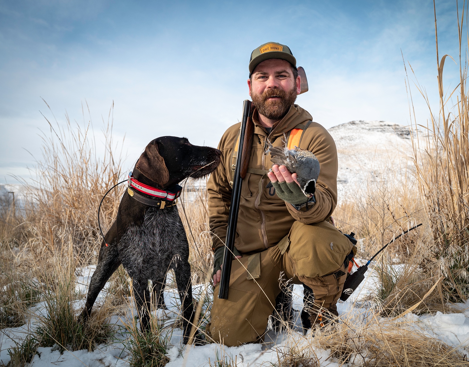 A man and his dog hunt for upland birds.