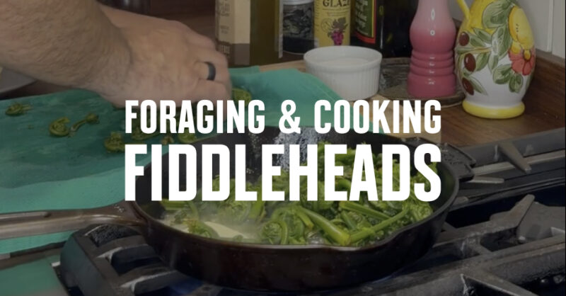 Fiddlehead ferns cooking in a cast-iron skillet.