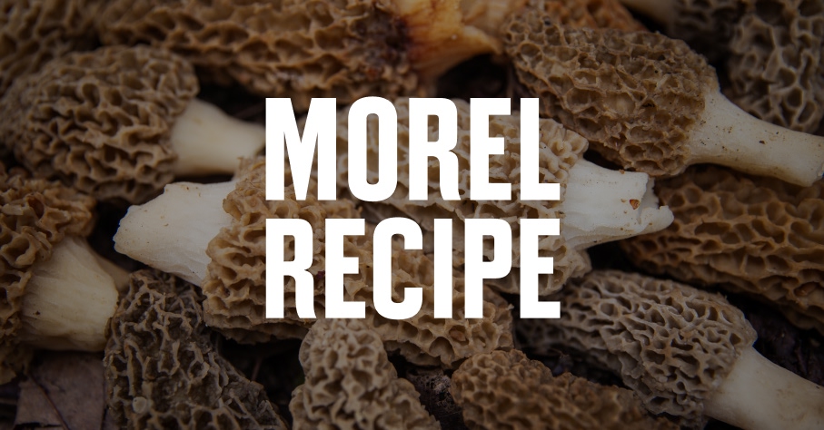 Morel Mushrooms with morel recipe written over the top in white font.