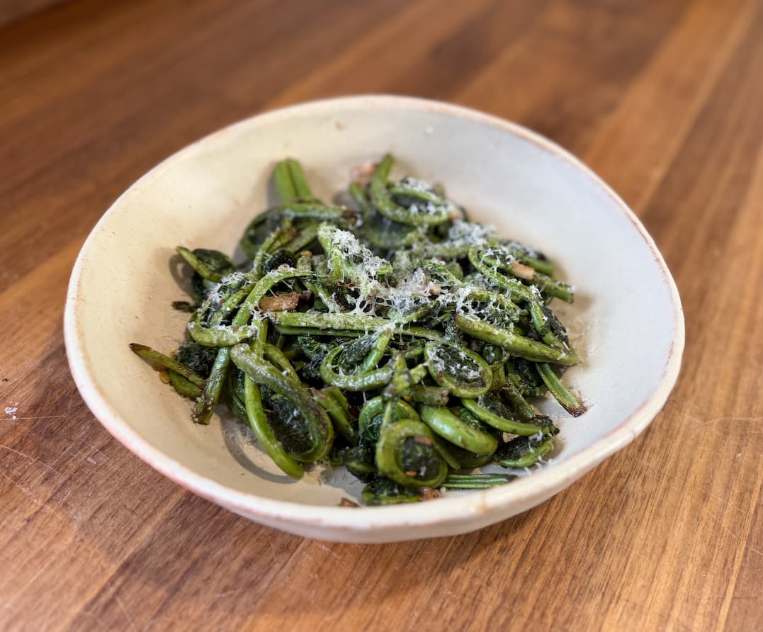 Steamed fiddleheads plated in a white bowl.