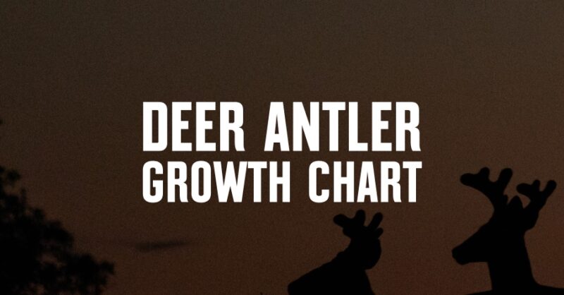 Deer antler growth chart in white font